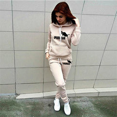 Women's Tracksuit Hoodies 2 Piece Set Sweatshirt + Pants Women Sport Suit Spring And Autumn Sportswear