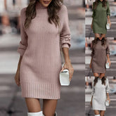 Pbong Fashionable Long Sleeve Polo/Turtle Neck Sweater Women's Dress Autumn/Winter Pure Color Cross-Border Trade Amazon