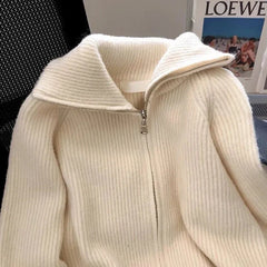 Autumn Winter New knitted Cardigan Sweater Women Fashion Long-Sleeved Zipper High Neck Coat Female Loose Sweater Ladies Tops