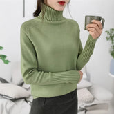 Women Turtleneck Knitted Sweaters Long Sleeve Roll-neck Pullover Plain Jumper Ladies Autumn Winter Layered Basic Outfit