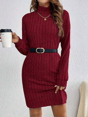 Stylish Turtle Neck Knit Dress - Soft, Elegant, Textured Long Sleeve Design for Spring & Fall, Comfortable Women's Clothing for Everyday Wear