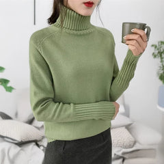 Women Turtleneck Knitted Sweaters Long Sleeve Roll-neck Pullover Plain Jumper Ladies Autumn Winter Layered Basic Outfit