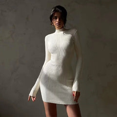 New Autumn Knitted Turtleneck Dress Women Long Sleeve Bodycon Midi Dresses Female Elegant Fashion Solid Color Skinny Dress